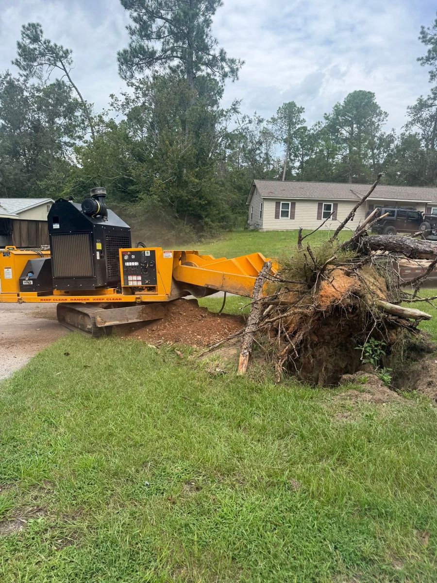 Stump Excavation for Dozier Stump Grinding in Augusta, GA