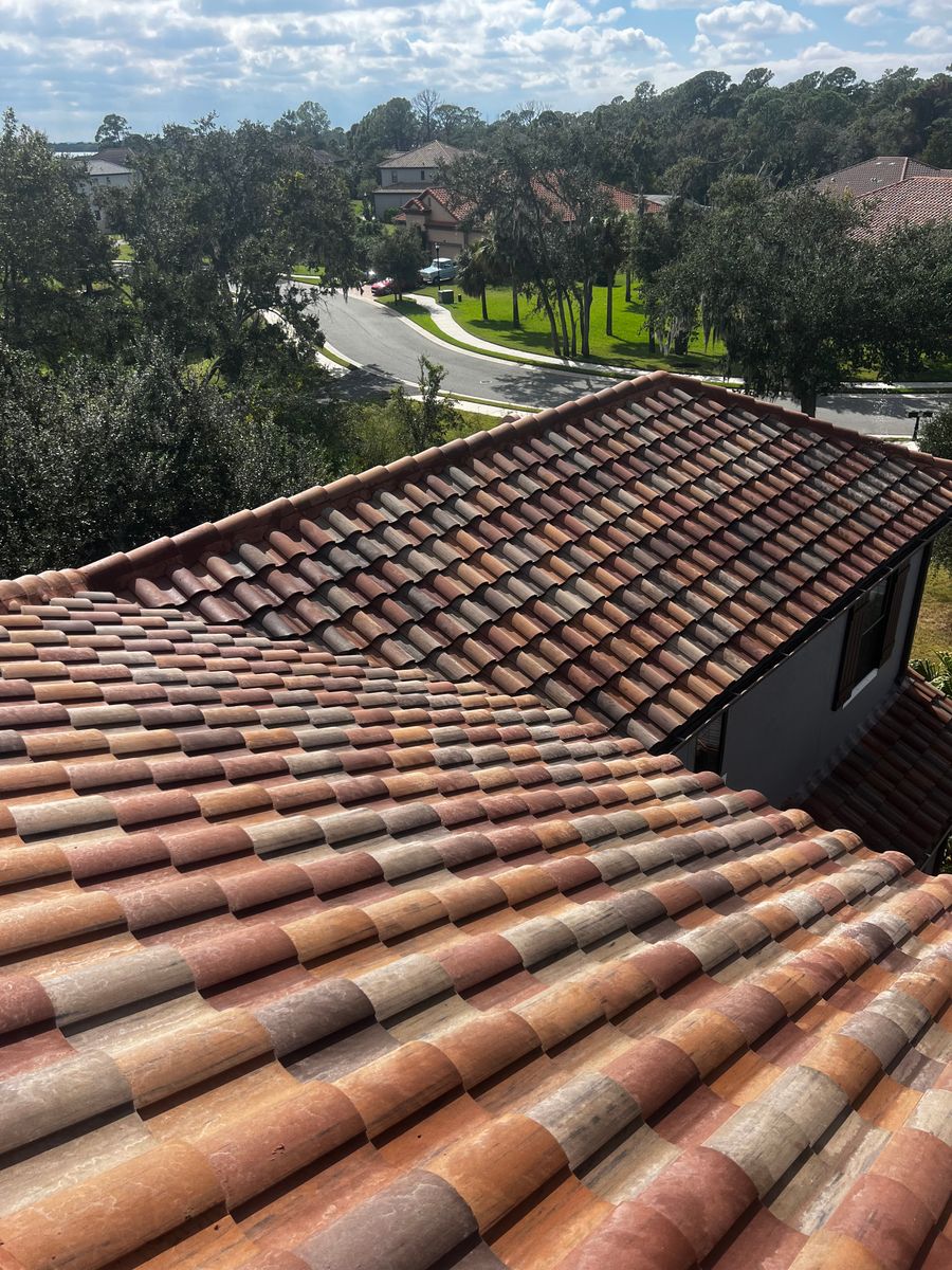 Roof Cleaning for Barr None Wash Pro in Tampa, FL