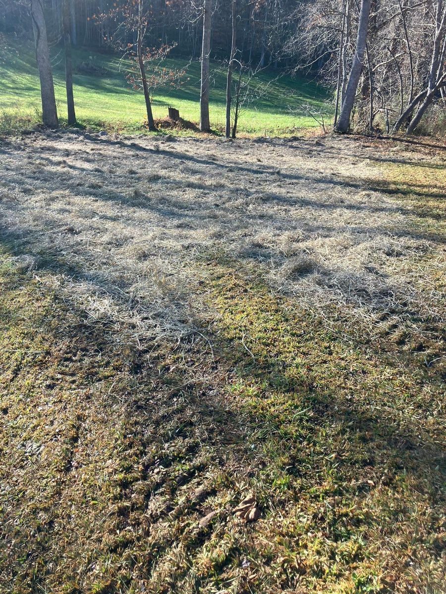 Land Clearing for Gibson Grade Works in Towns County, GA