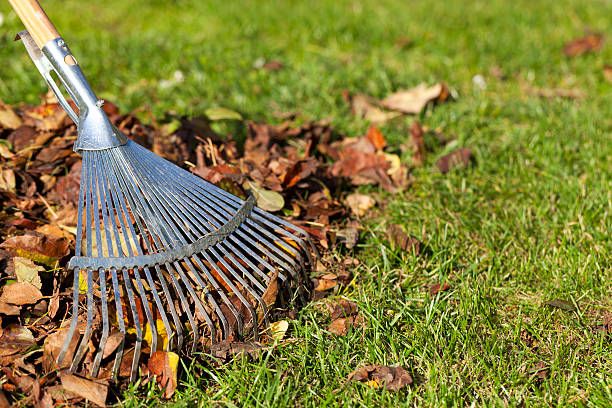 🍁 NB Fall Clean-Up Services for New Beginning Landscape & Remodel LLC in Atlanta, GA