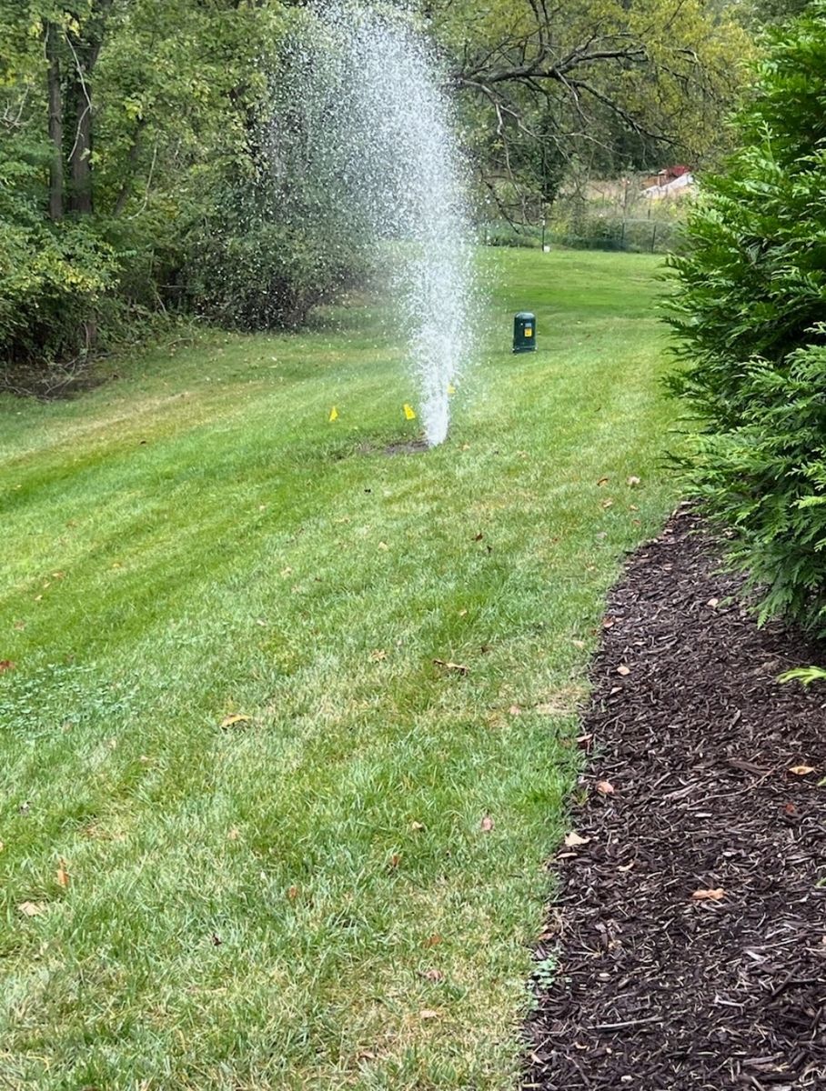 Irrigation Services for Contemporary Landscape in St. Louis, MO