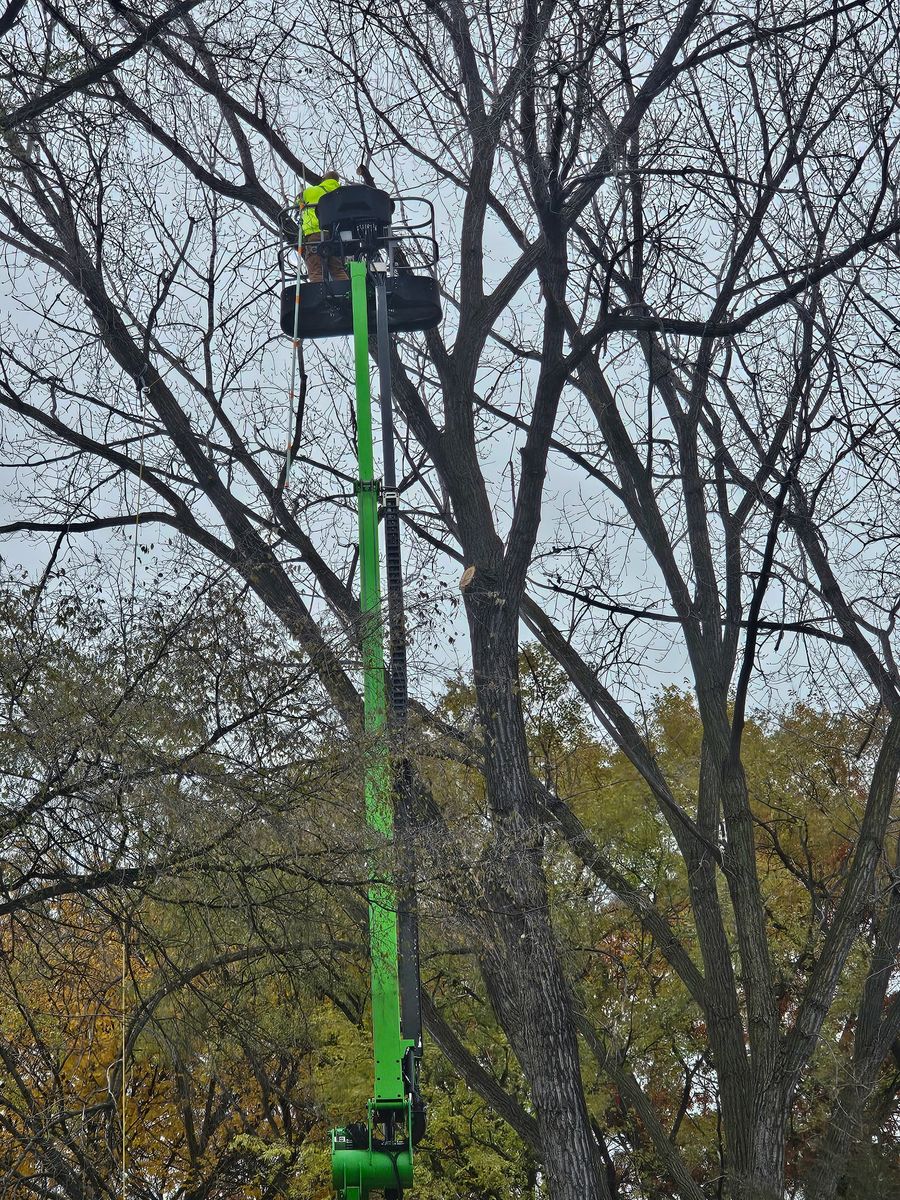 Commercial Tree Removal Service for Minnesota Seasonal in Corcoran, MN