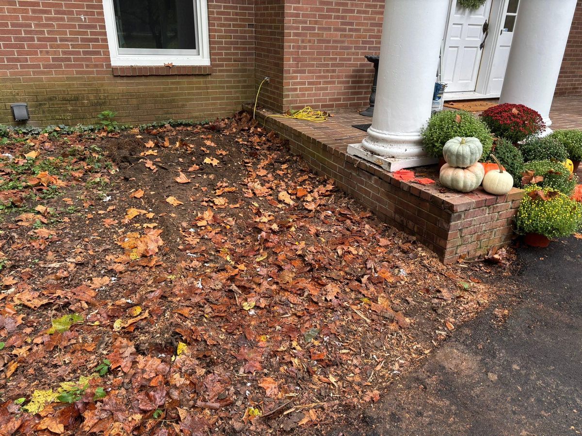 Stump Removal for Conrad's Stump Removal in Columbus, IN