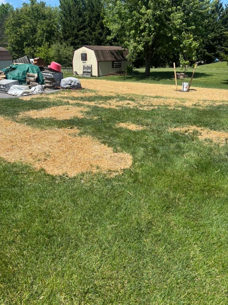 Seeding for Backyard Acres Lawncare LLC in Chambersburg, PA