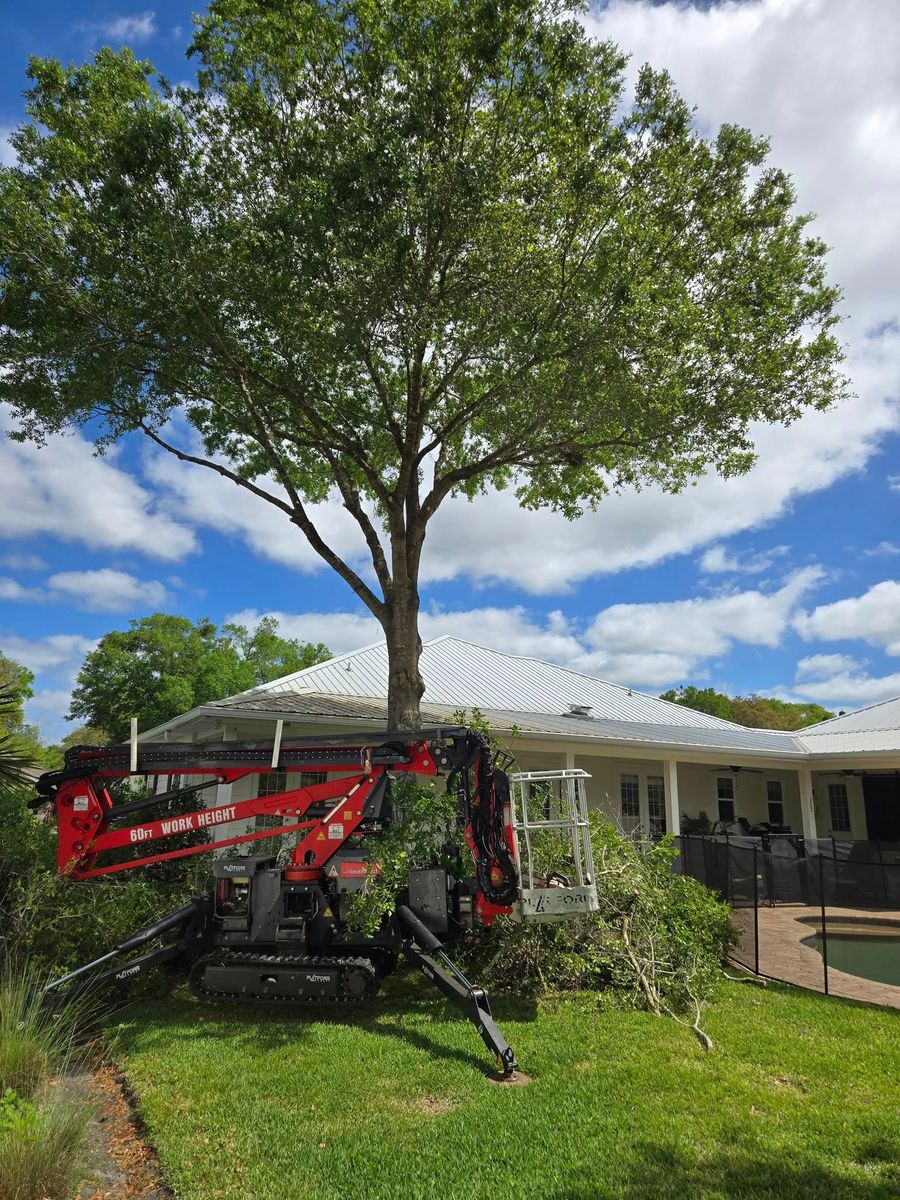Tree Trimming for Near Me Tree Service, Inc. in DeLand, FL