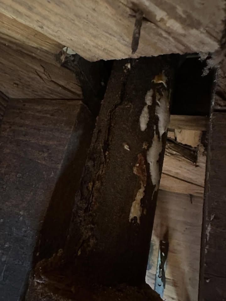 Home Additions for Nomadic Plumbing in Jacksonville, FL