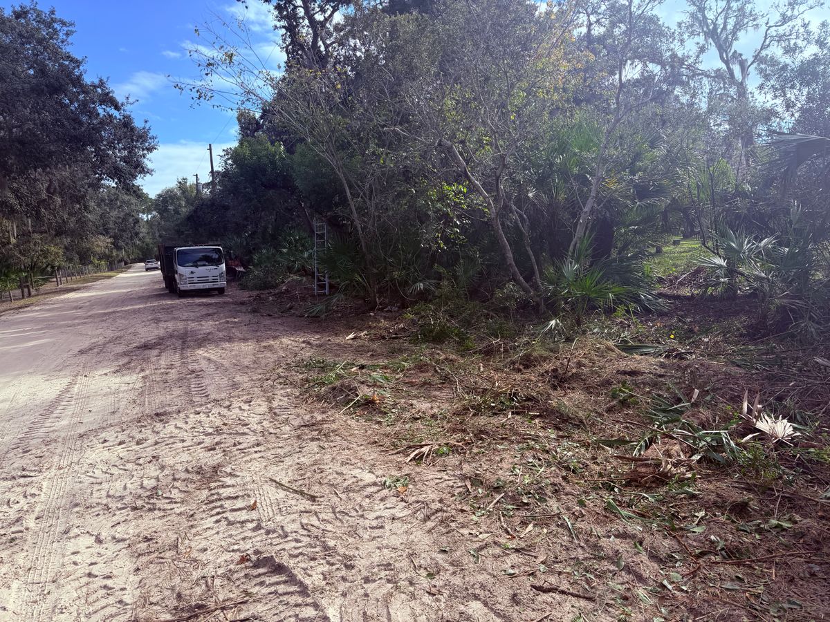 Tree Removal for Amerigrown Tree And Lawn in Apopka, FL