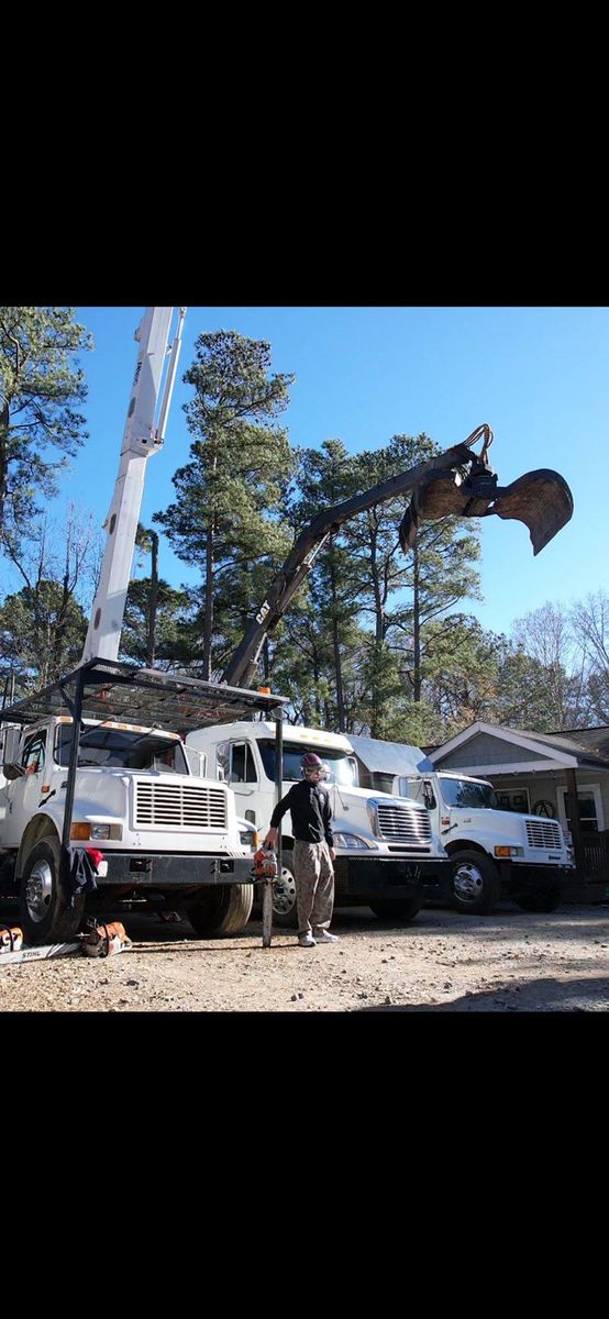Tree Removal for AB Tree Service in Raleigh, NC