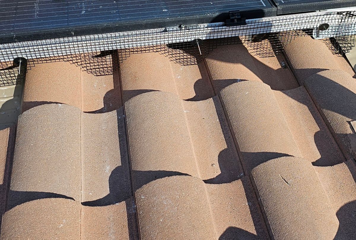 Bird Proofing Solar Panels for The Window & Solar Ninjas in Riverside County, CA