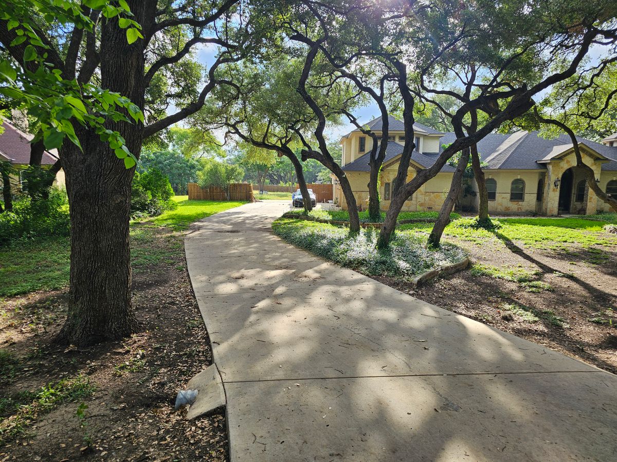 Tree Trimming for Miller Mowing and Maintenance in San Antonio, TX