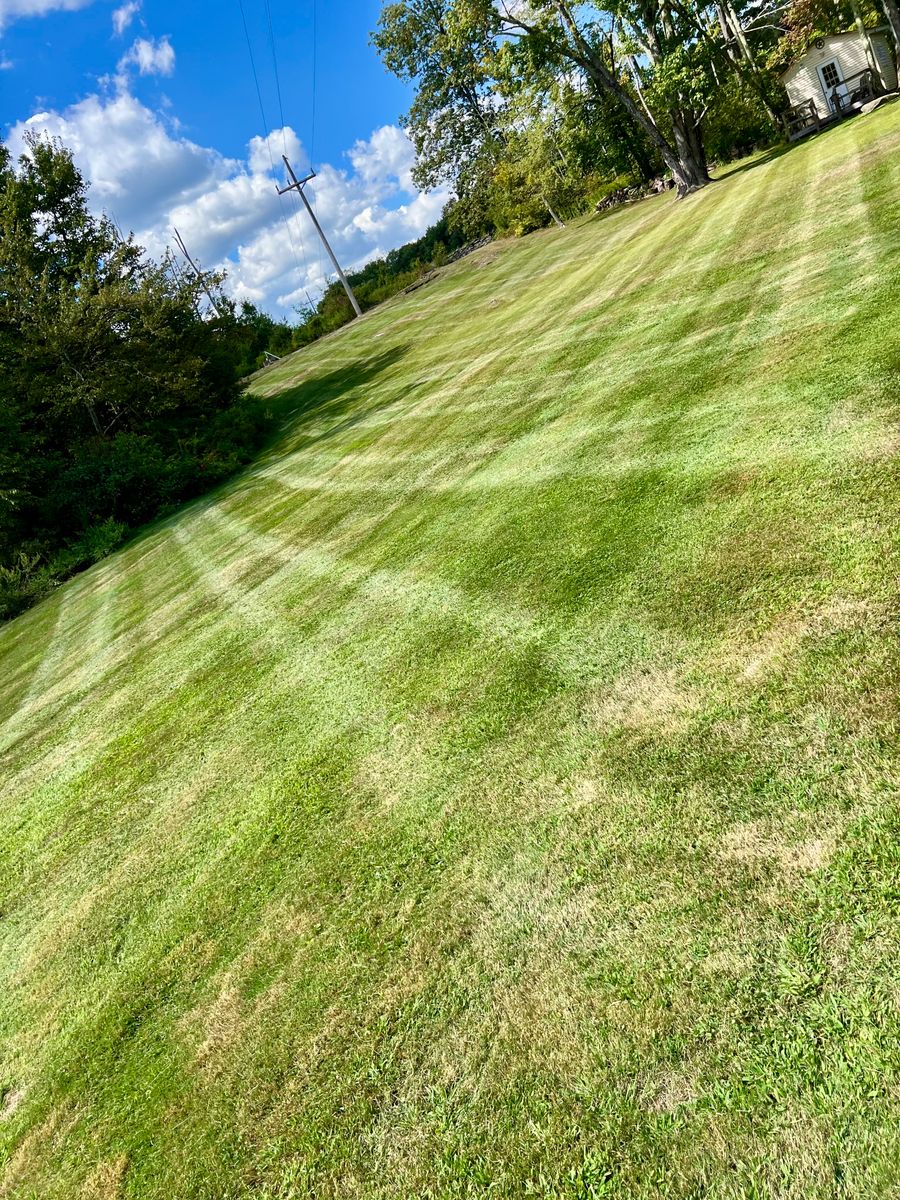 Fall Clean Up for Lopez Landscaping and Hardscapes in Scranton, PA