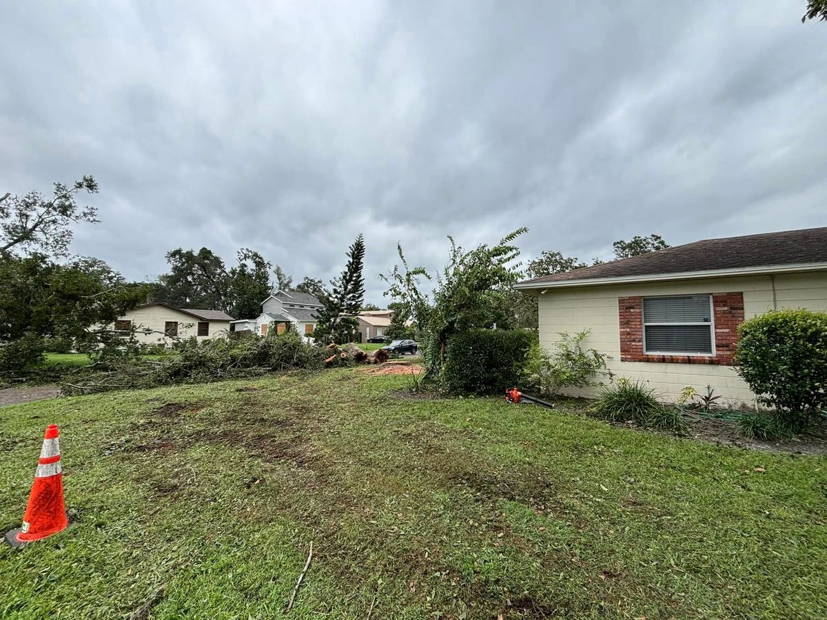 Land Clearing & Demolition for Parker Land Services in Lakeland, FL