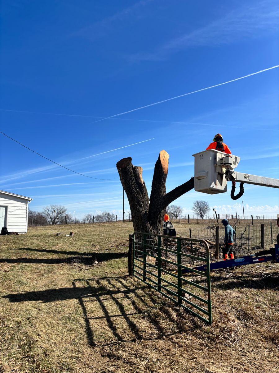 Tree Removal for Cross Family Tree Service in Kearney, MO