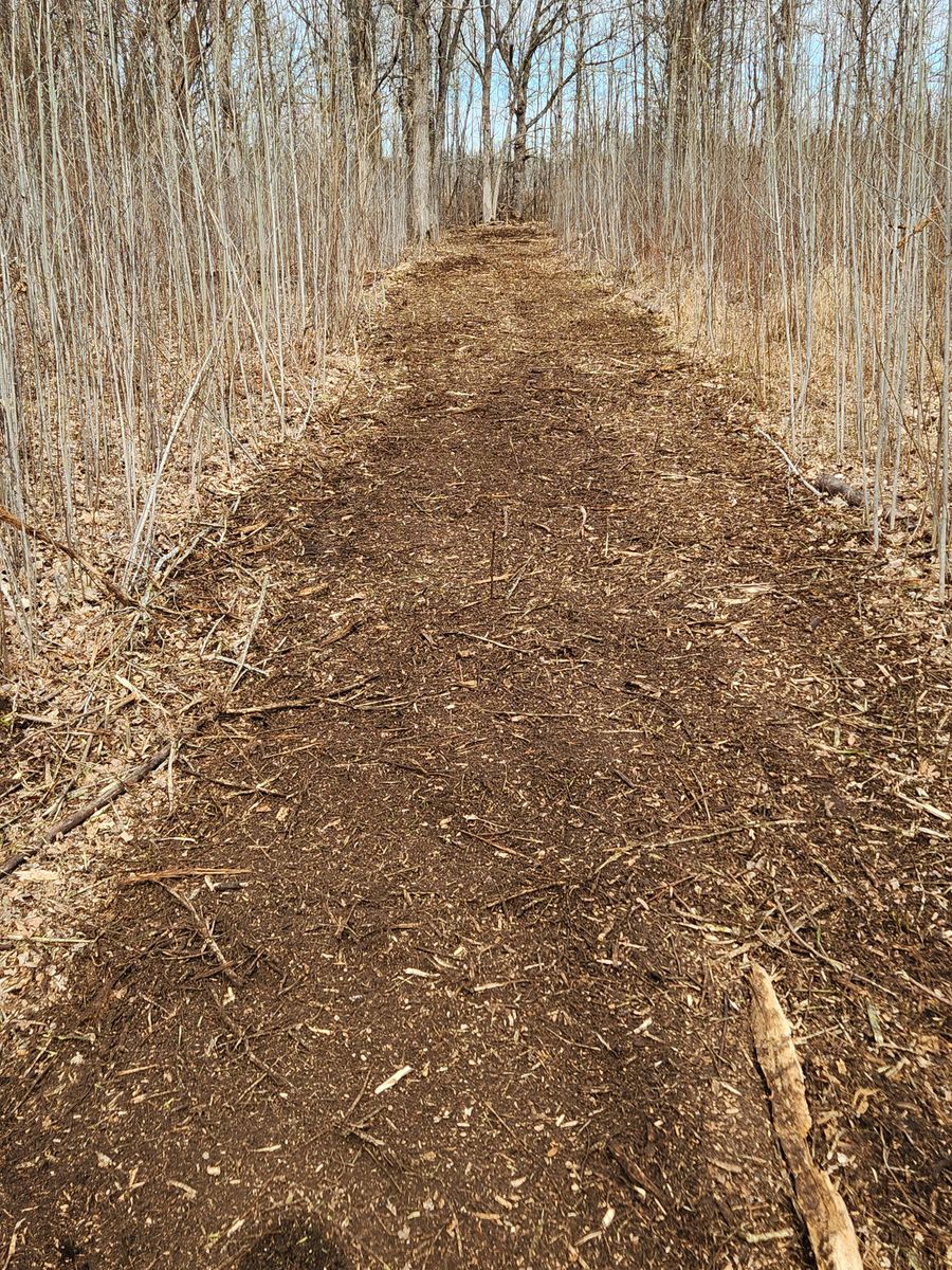 Forestry Mulching & Brush Mowing for Northern Ridge Landscape - Dock & Lift Service in McGregor, MN
