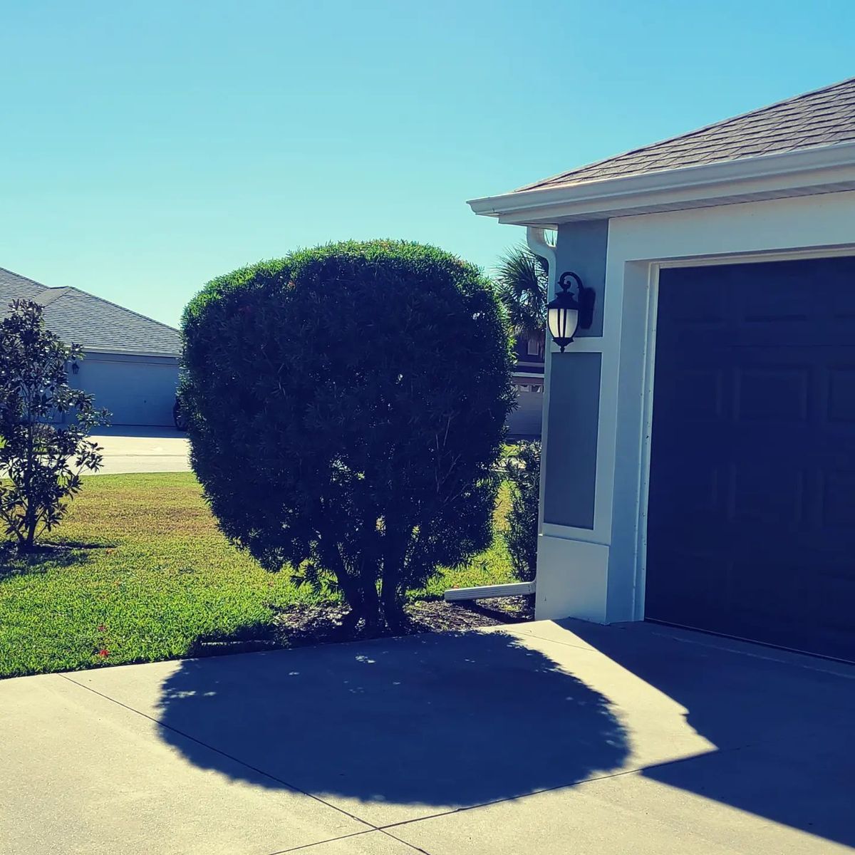 Shrub Bush and Ornamental Tree Trimming for TopNotch Landscaping Services  in The Villages, FL