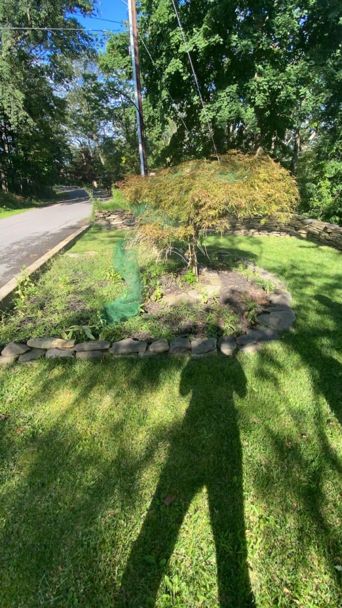 Seasonal Clean-Up for Saul’s Landscaping Services in Williamsport, PA