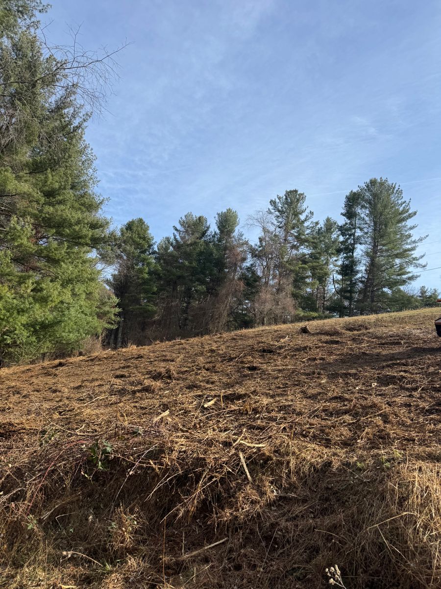 Reclaim Land for Mountain Goat Land Management in Galax, VA