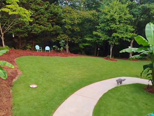 Pinestraw for BAM Another Pinestraw Lot in Flowery Branch, GA