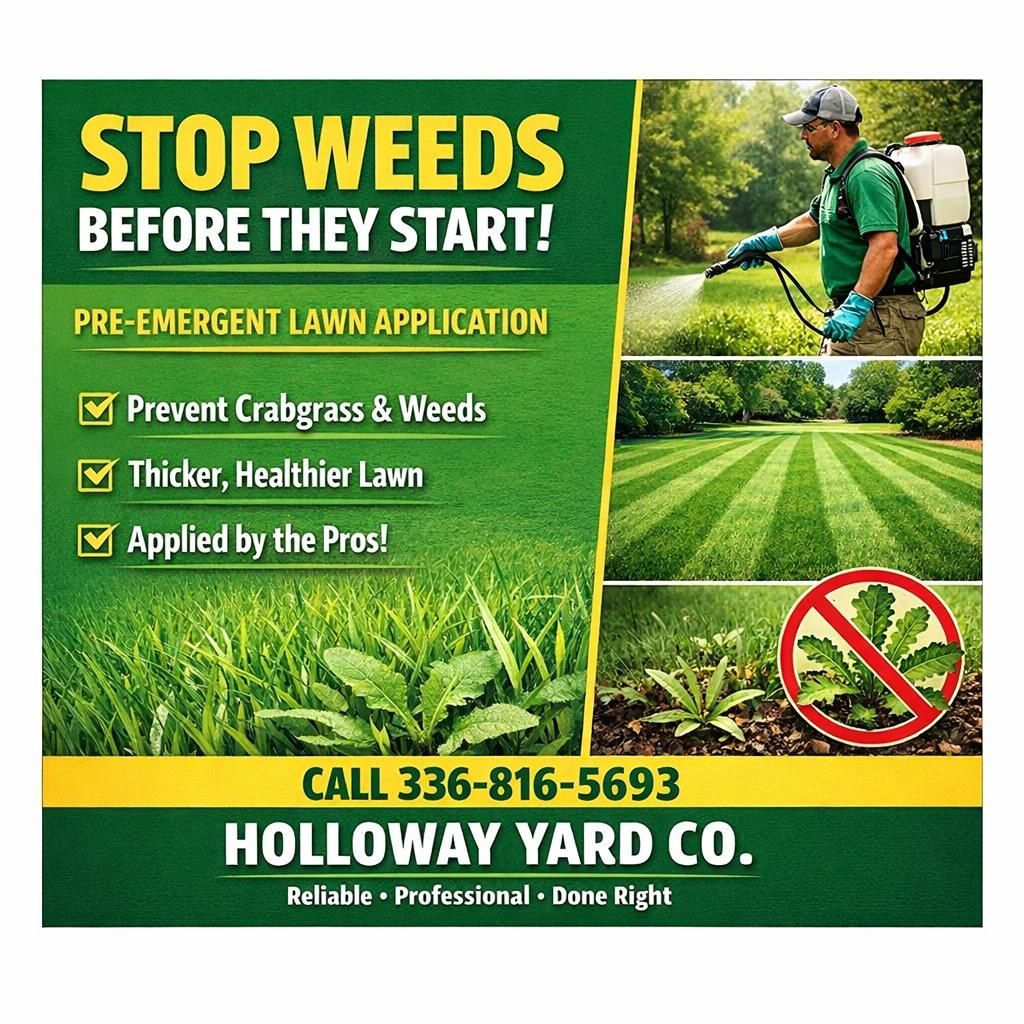 Fertilization for Holloway Yard Company in Greensboro, NC