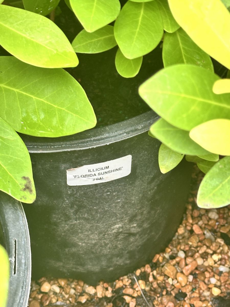 Landscape Installation for Atlas Land Design in Creekside Park, TX