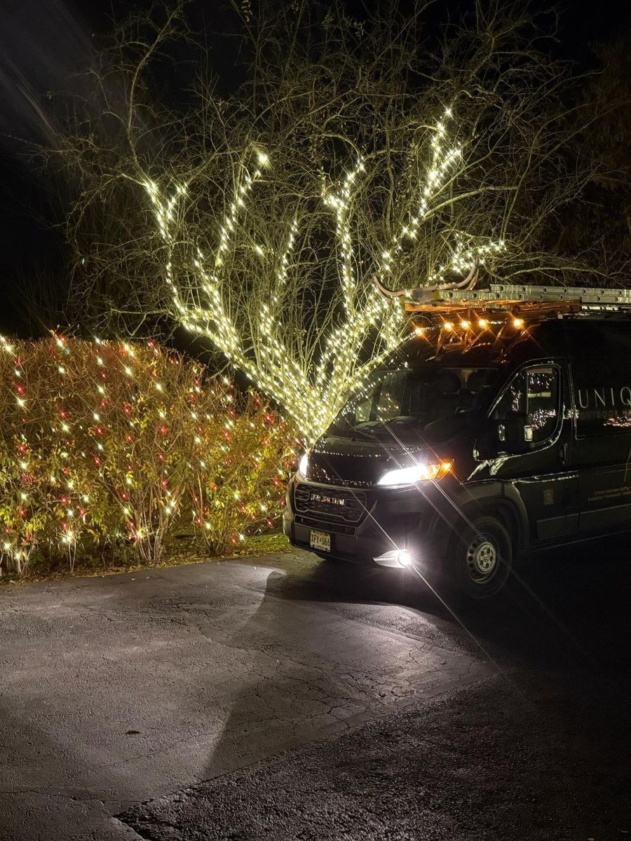 Holiday & Event Lighting for Unique Outdoor Lighting in Short Hills, NJ