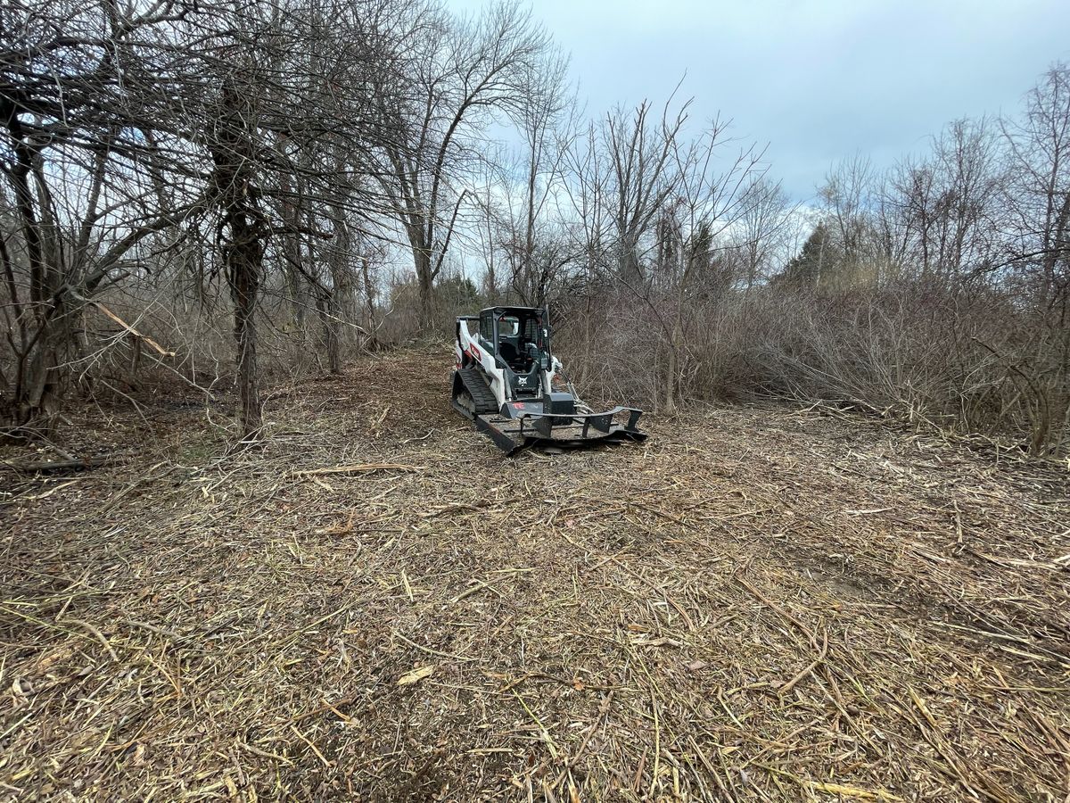 Brush Cutting and Land Clearing for NK Landscaping LLC in Dutchess County, NY