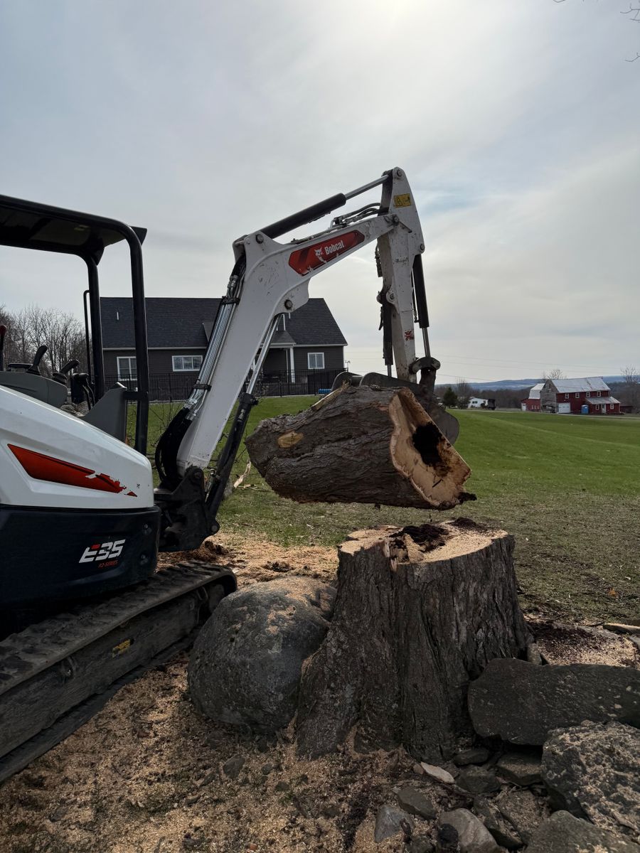 Tree Removal for Sterlings Tree Removal in Cobleskill, New York