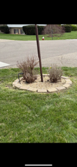 Shrub Trimming for Red Beard Lawn Care in Chillicothe, OH