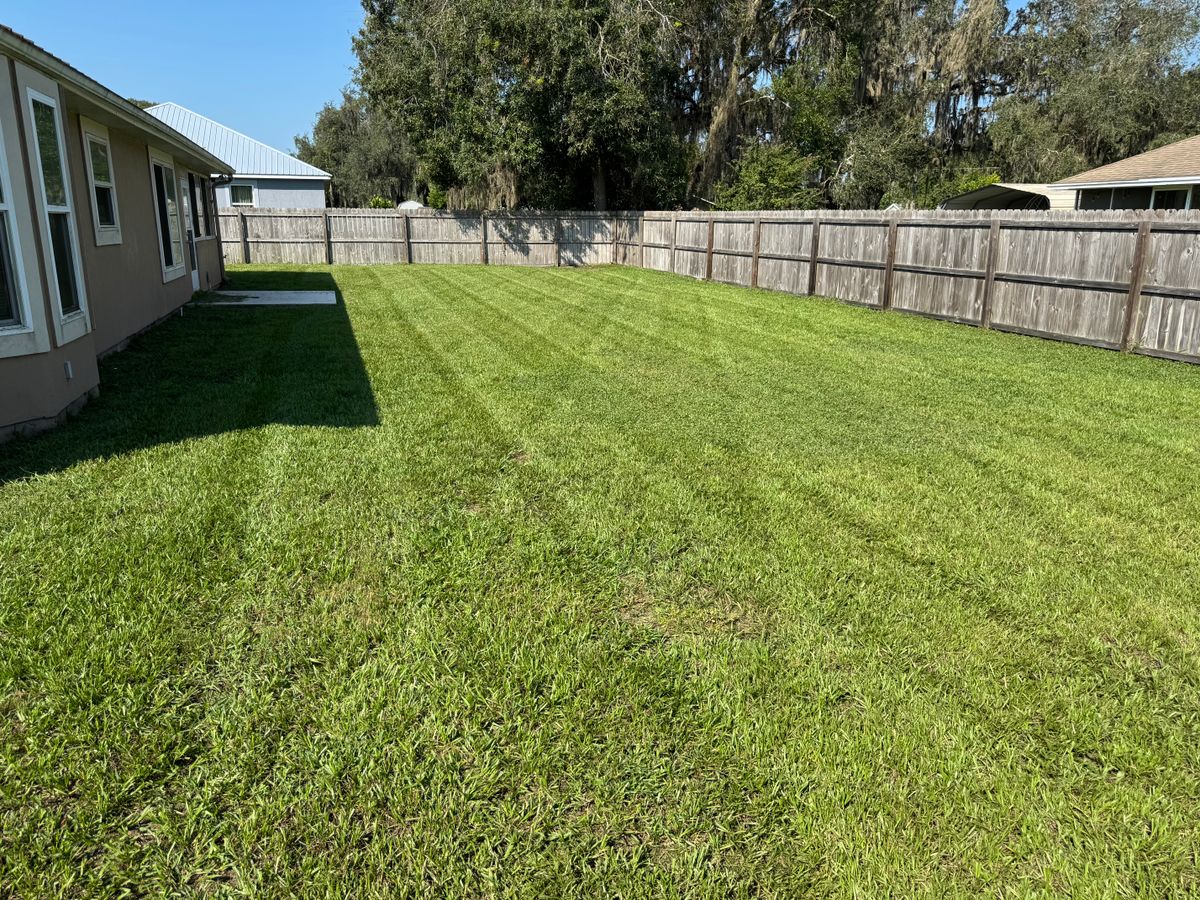 Mowing for Village Lawn Services LLC in Lake Panasoffkee, FL