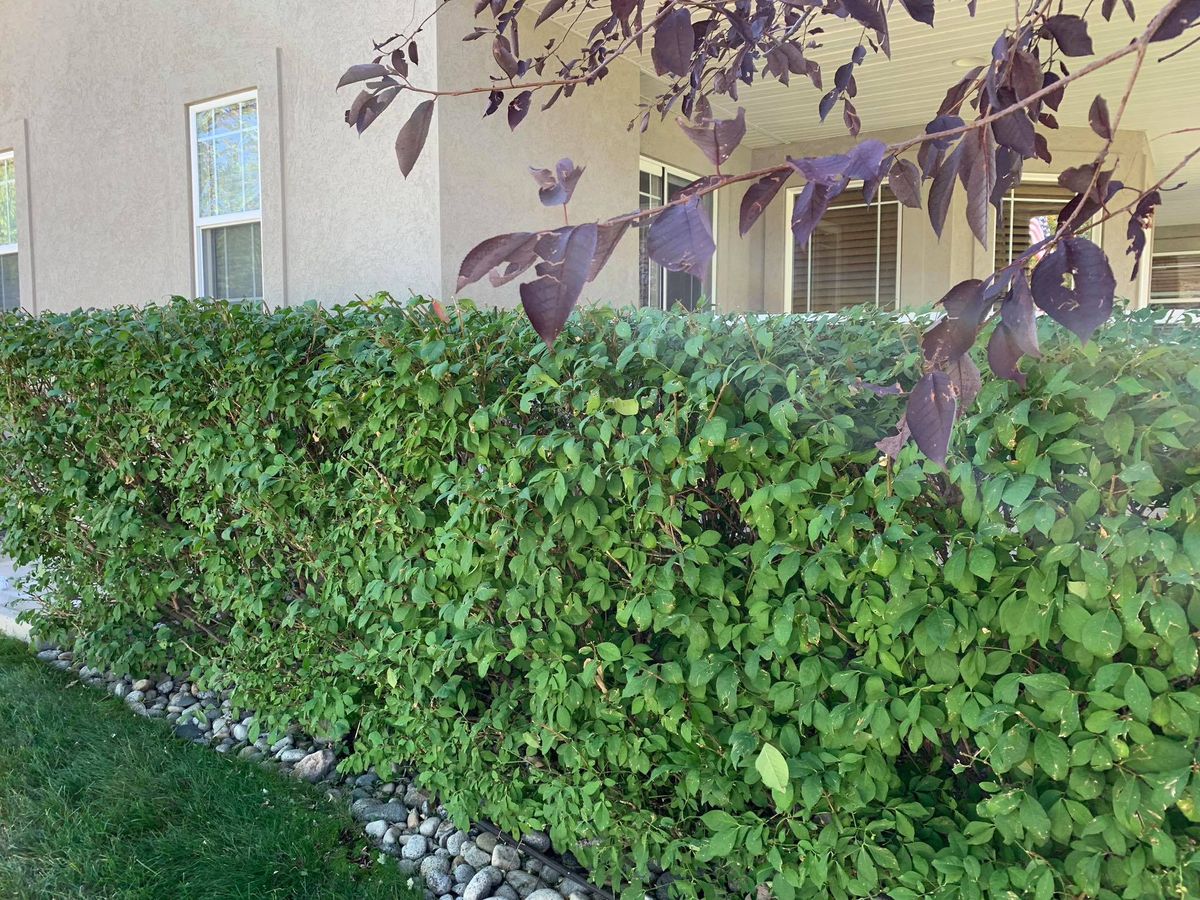 Trimming for Rock Masters Inc. in Evans, CO