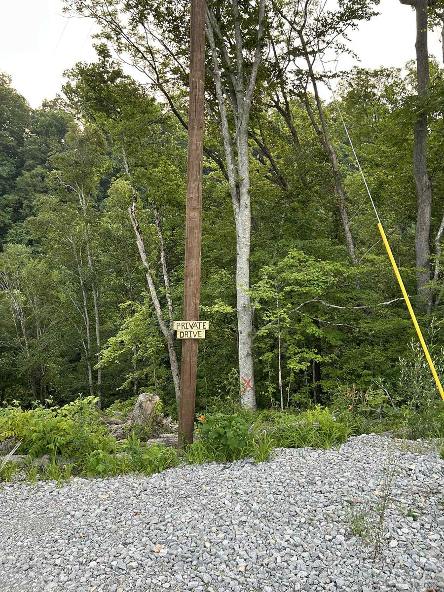 Land Clearing for Z's Land Management & Forestry Mulching in Smithville, TN