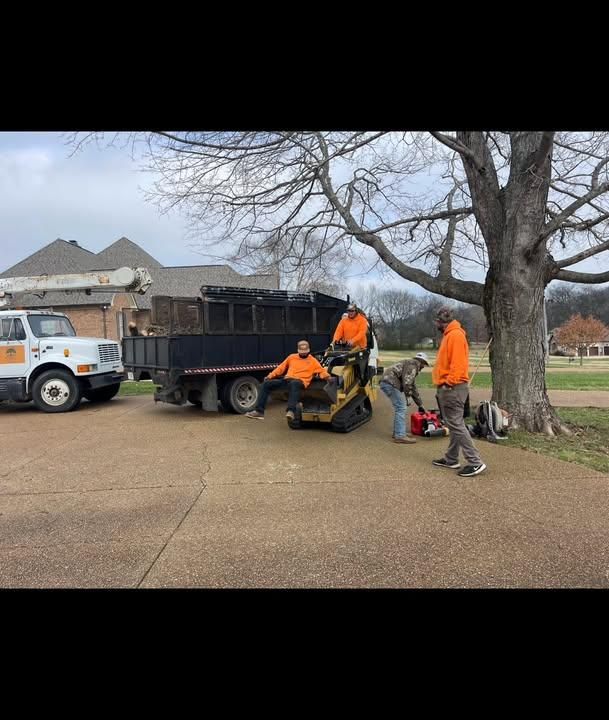 Tree Removal for Ross Family Tree Service LLC  in Hohenwald, TN