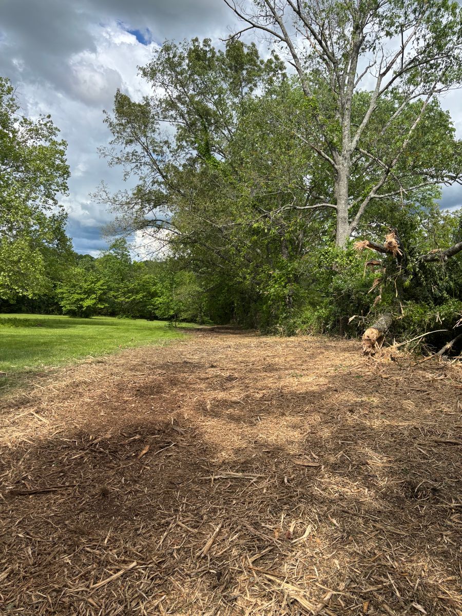 Land Clearing for Gregory Grass and Lawn in Lafayette, TN