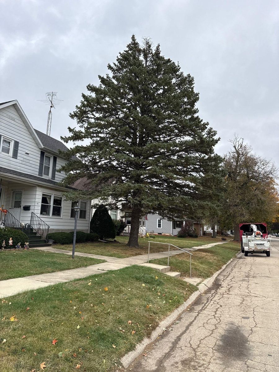 Shrub Trimming for Fransen's Tree Service  in Freeport, IL
