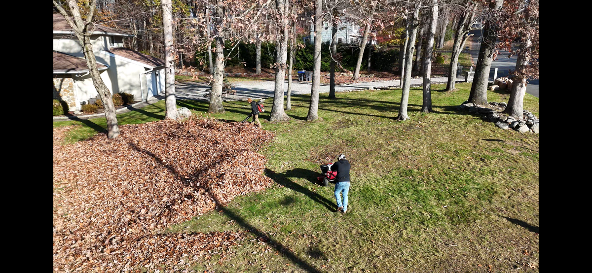 Fall Clean ups & Curbside Leaf Removal for Ace Landscaping in Trumbull, CT