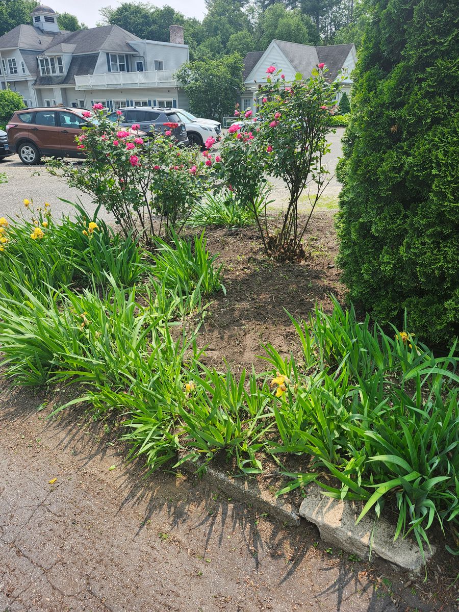 Landscape Installation for Landscape Innovations LLC in Torrington, CT