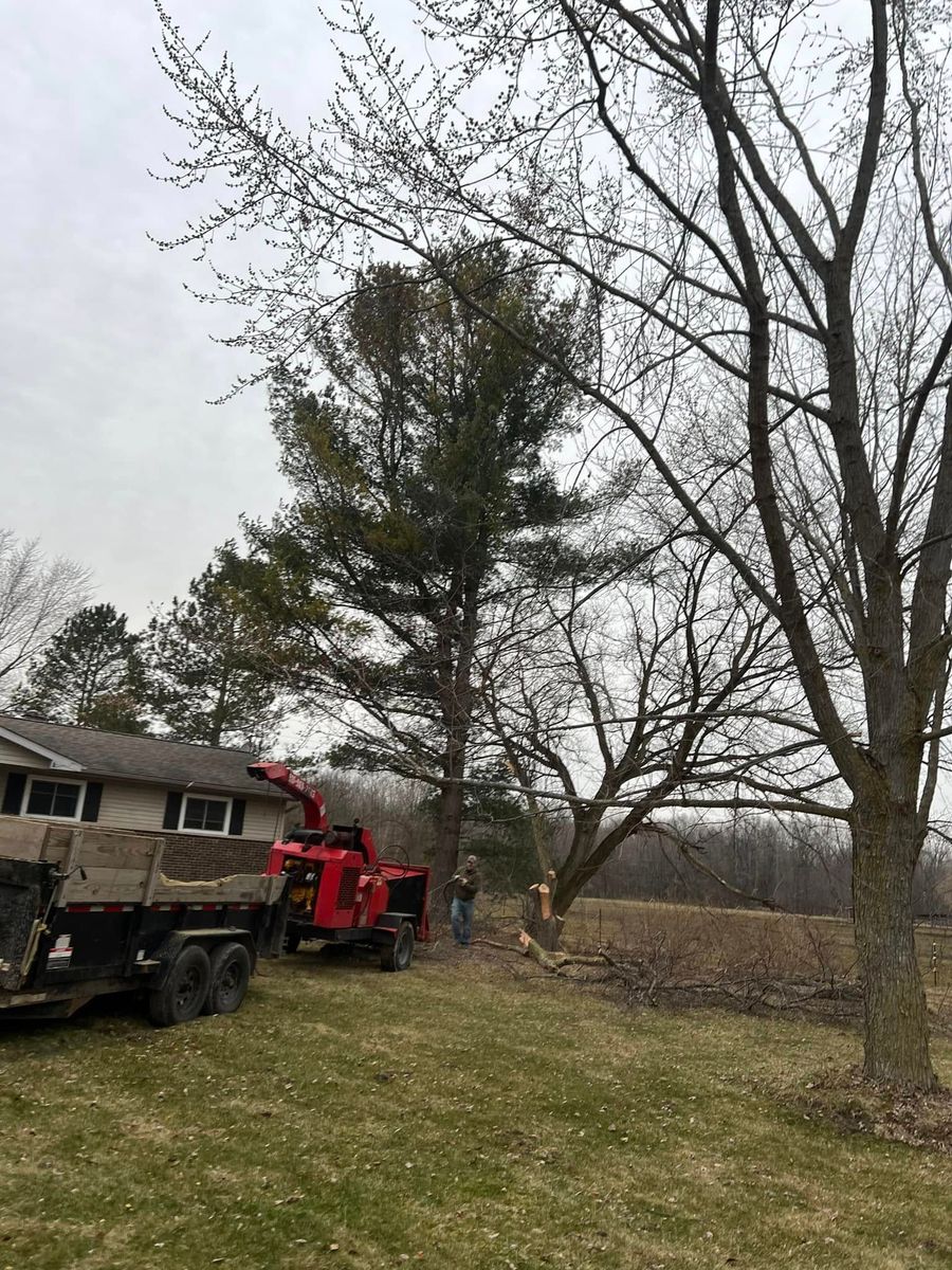Tree Removal for The Bucking Arborists in Flint, MI