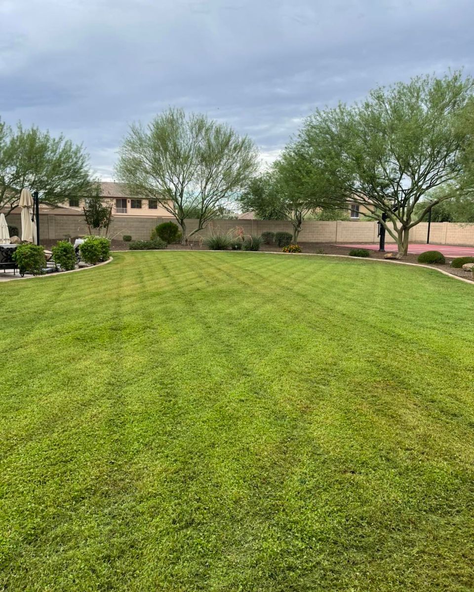 Residential Lawn Maintenance for American Dream Landscape Company in Surprise, AZ