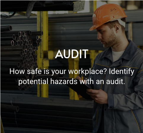 Safety Audit for ZALEMO in Houston, TX
