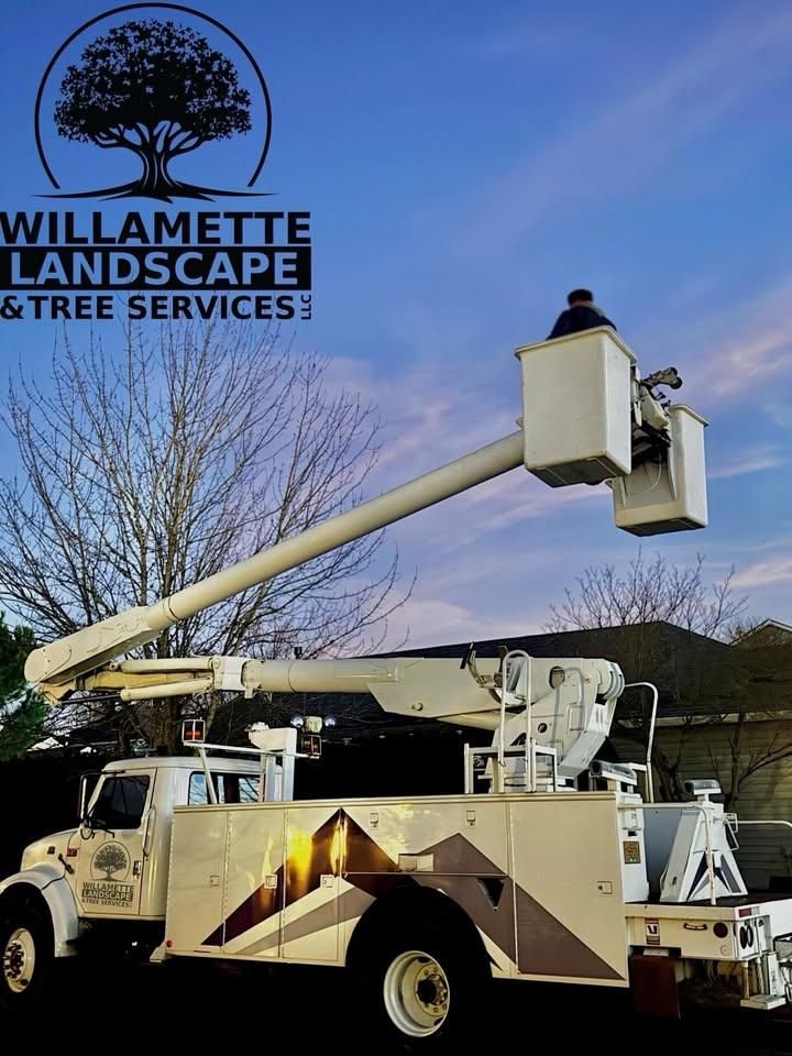 Tree Trimming for Willamette Landscaping & Tree Services in Albany, OR