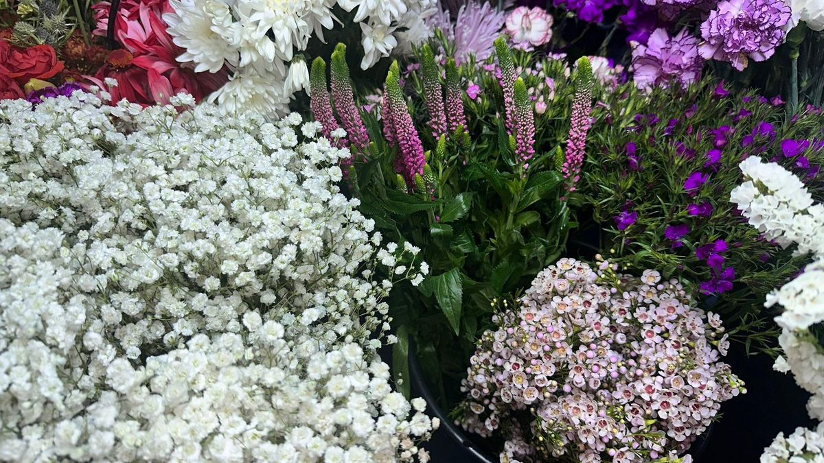 Friday Special Bouquet for The Dailey Daisy in Hardwick, VT