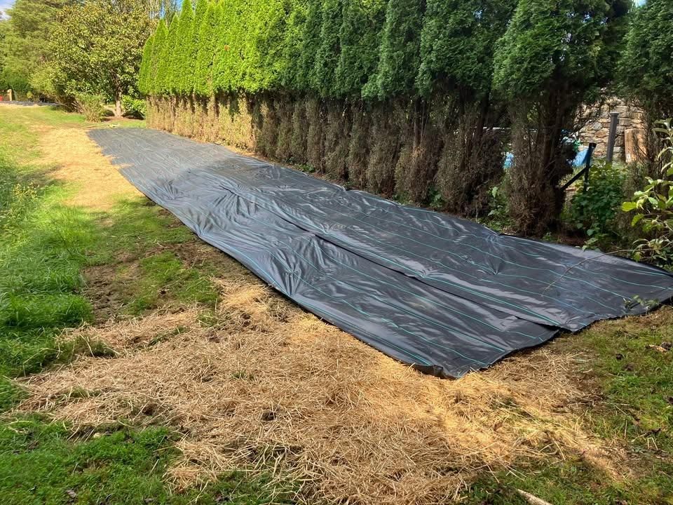 Landscaping for 9999 Building and Renovation LLC in Warrenton, VA