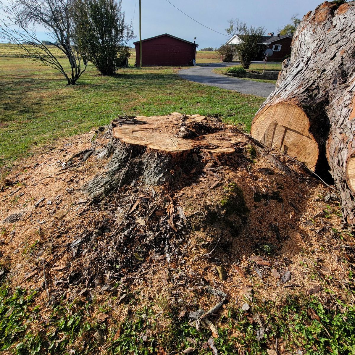 Property management and maintenance for Z's Land Management & Forestry Mulching in Smithville, TN