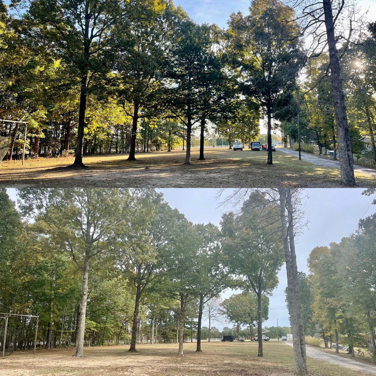 Tree Trimming for Ross Family Tree Service LLC  in Hohenwald, TN