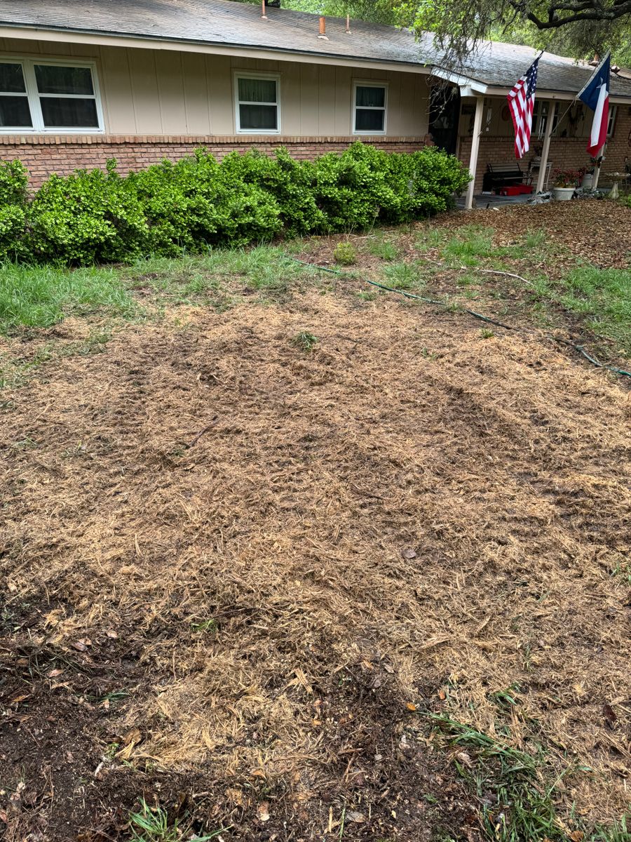 Stump Removal for Z’s Trees LLC in Grey Forest, TX