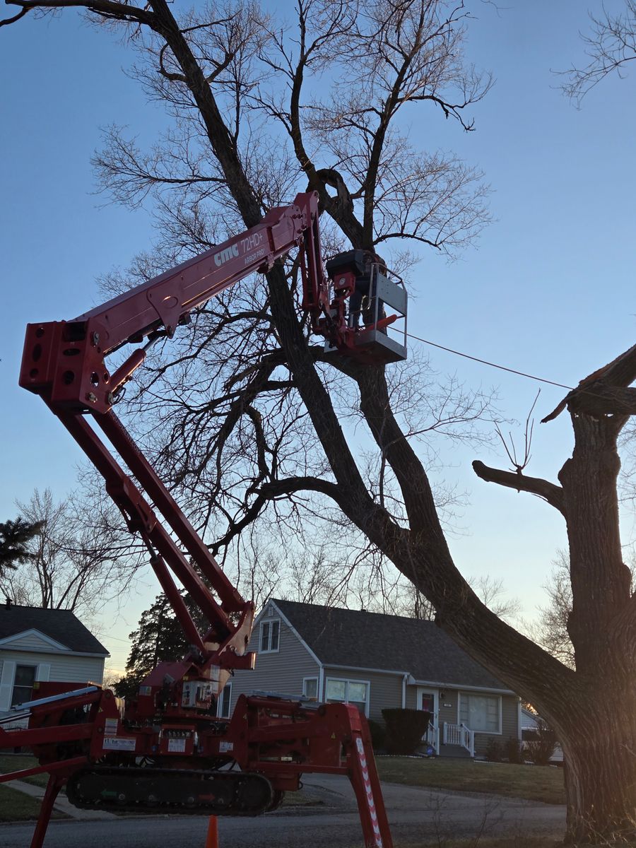 Tree Removal for Lawn Ranger Yard And Tree Service LLC in Ottumwa, IA