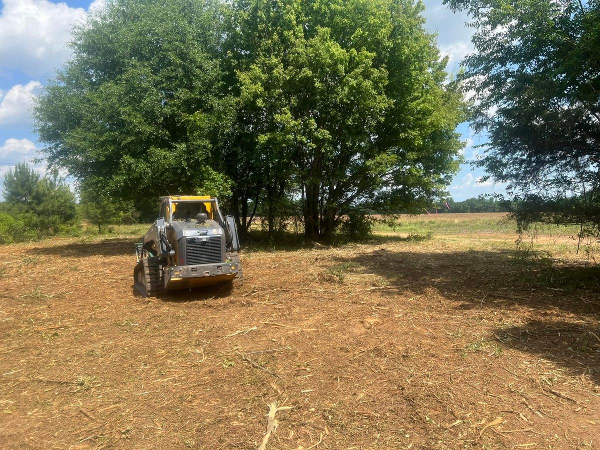 Skid Steer Work for Central Alabama Site Works in Selma, AL