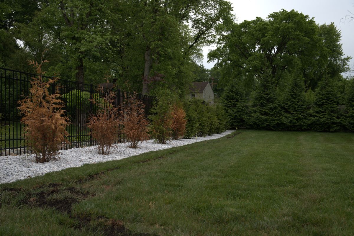 Lawn Maintenance for Landscape360x in East Brunswick, NJ