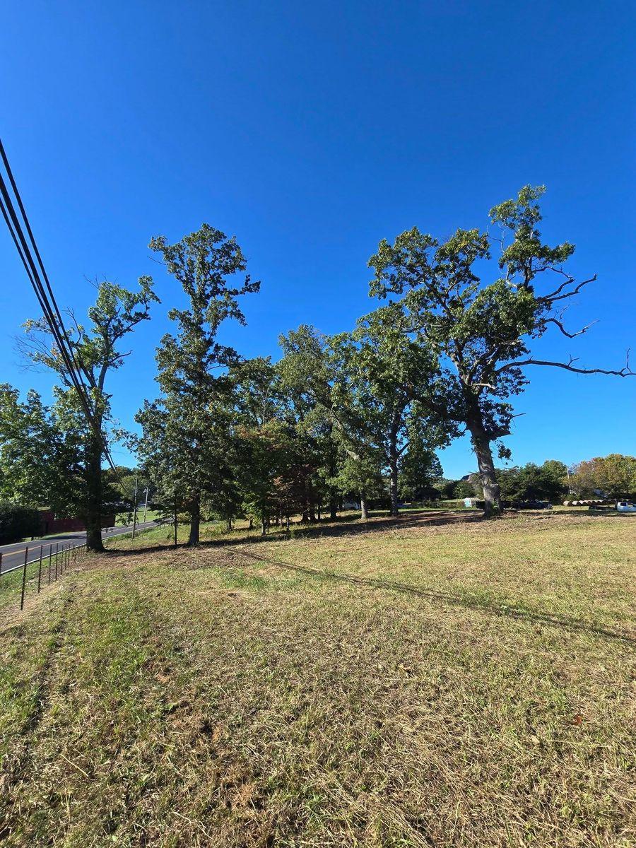 Land clearing for M&L Lumber and Excavating in Jonesborough, TN