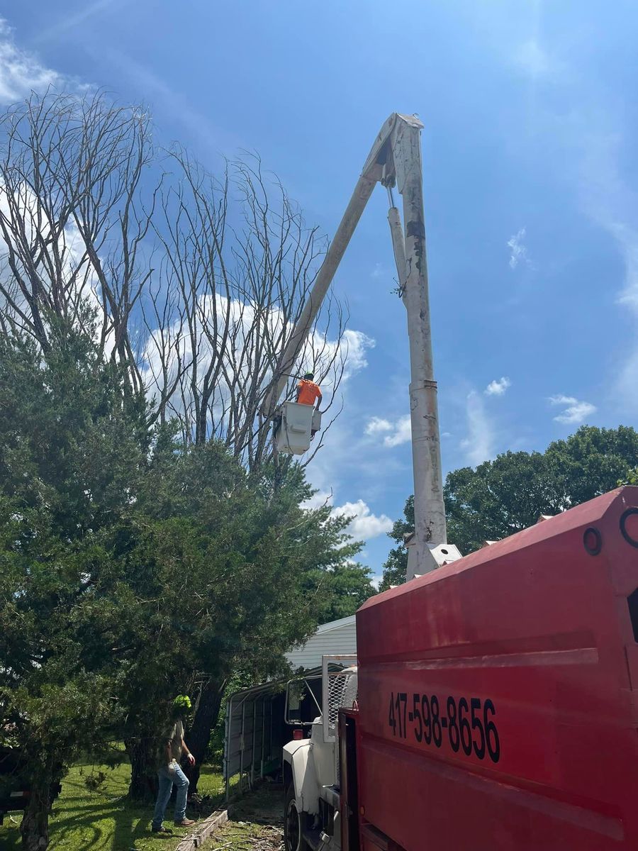 Tree Trimming for H n H Tree Service in Taneyville, MO